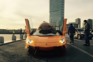 lamborghini teddy